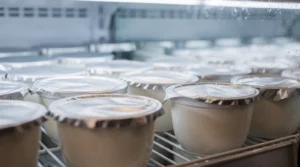 Arla Protein Pudding recall